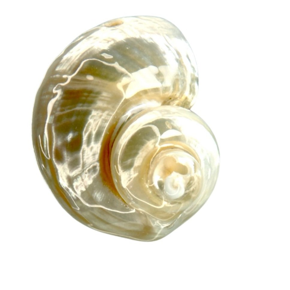 Turbo Pearl 1.0