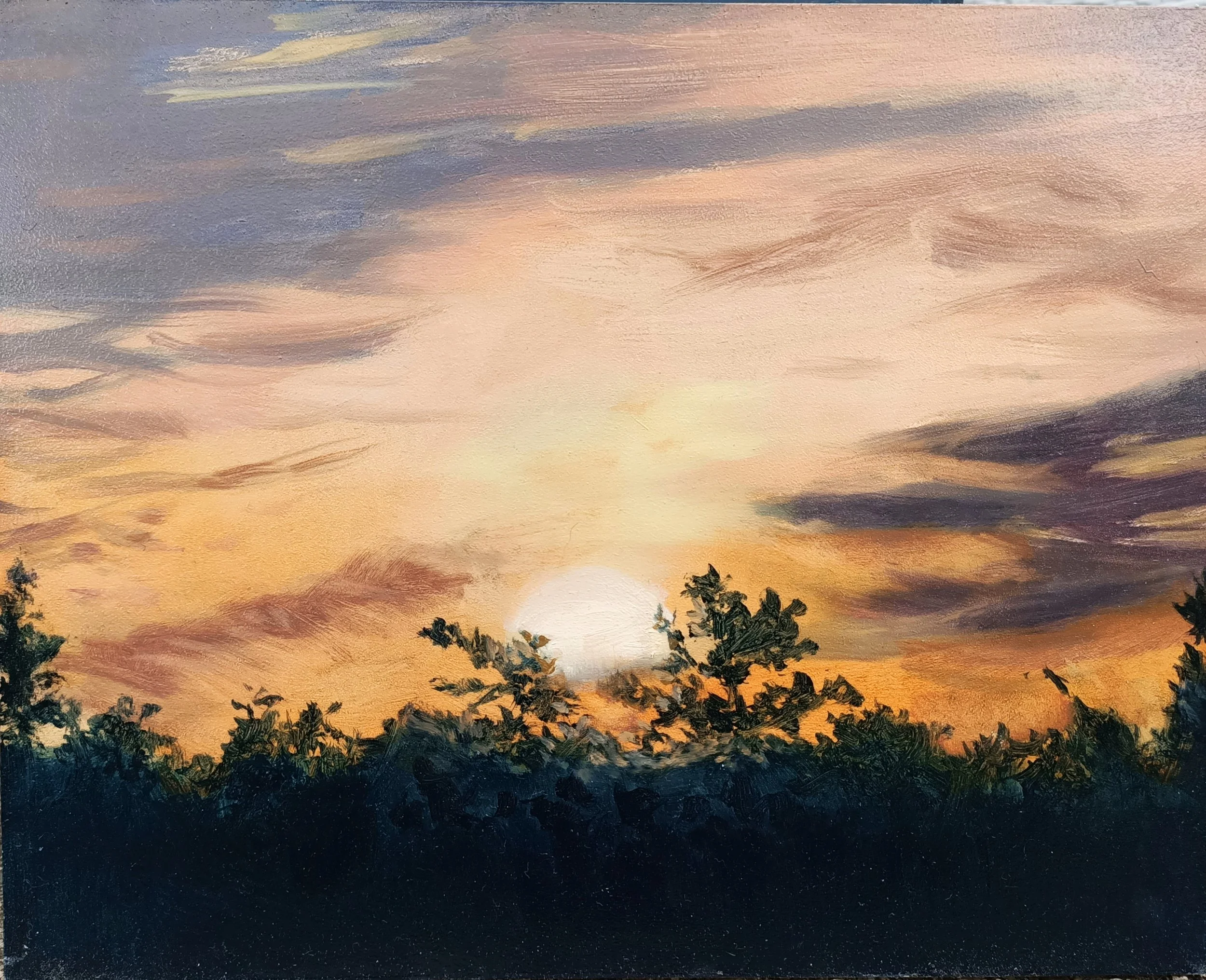 Brazil_Flona_WellfleetSunset_8x10_oil_2025_jpg.jpg