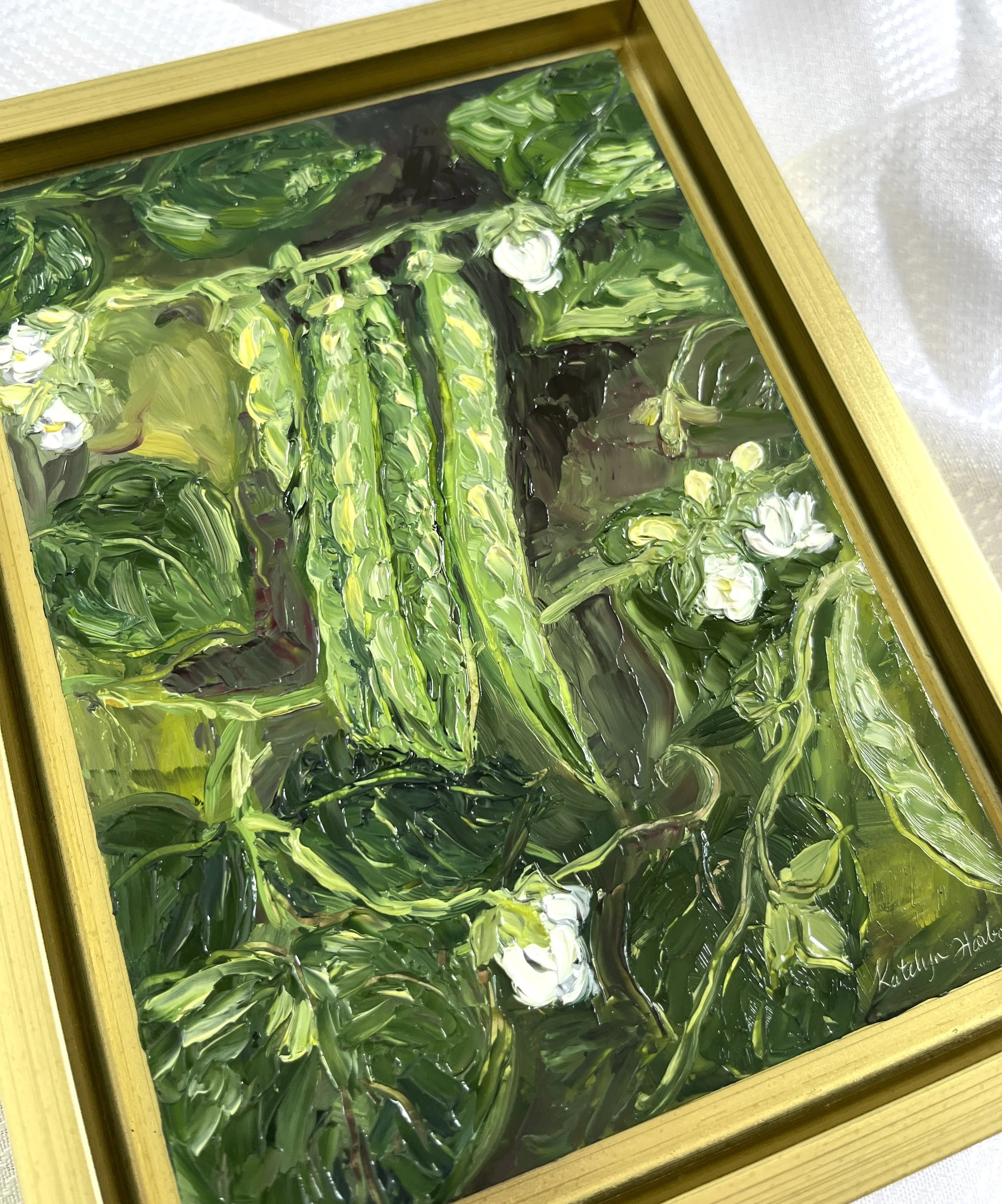 Green Bean Blossoms Angle.jpg