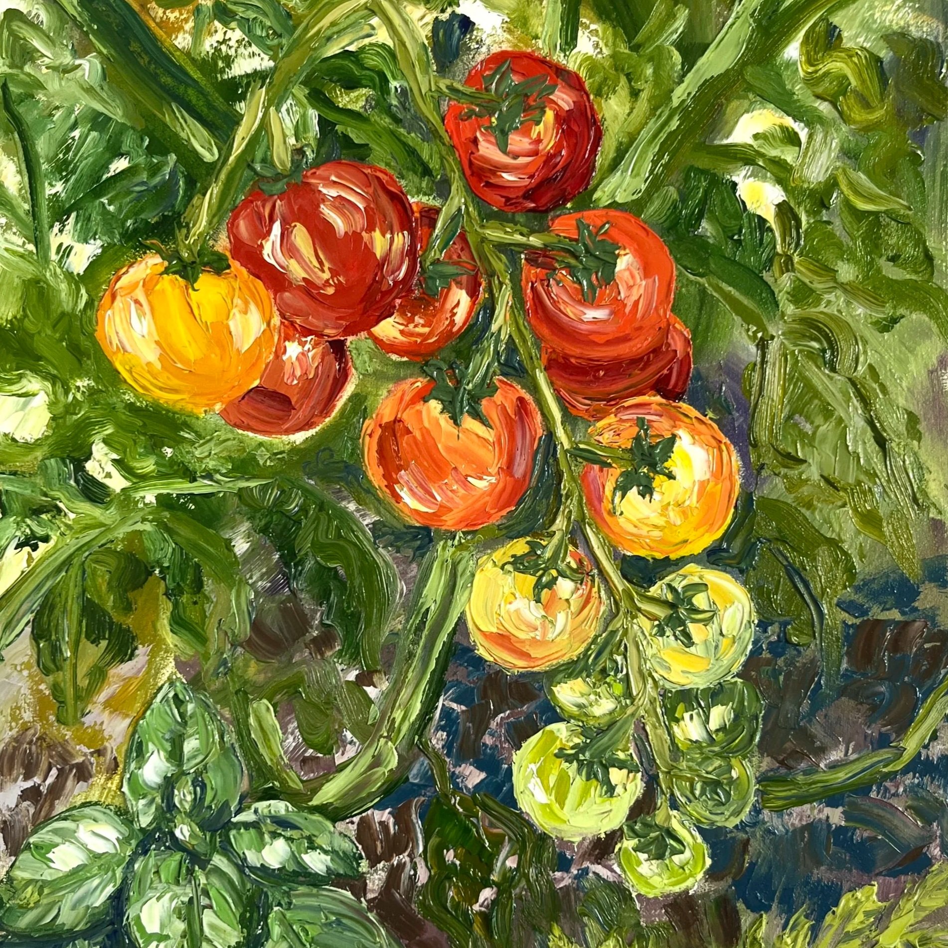 Sun-kissed+Tomatoes.jpg