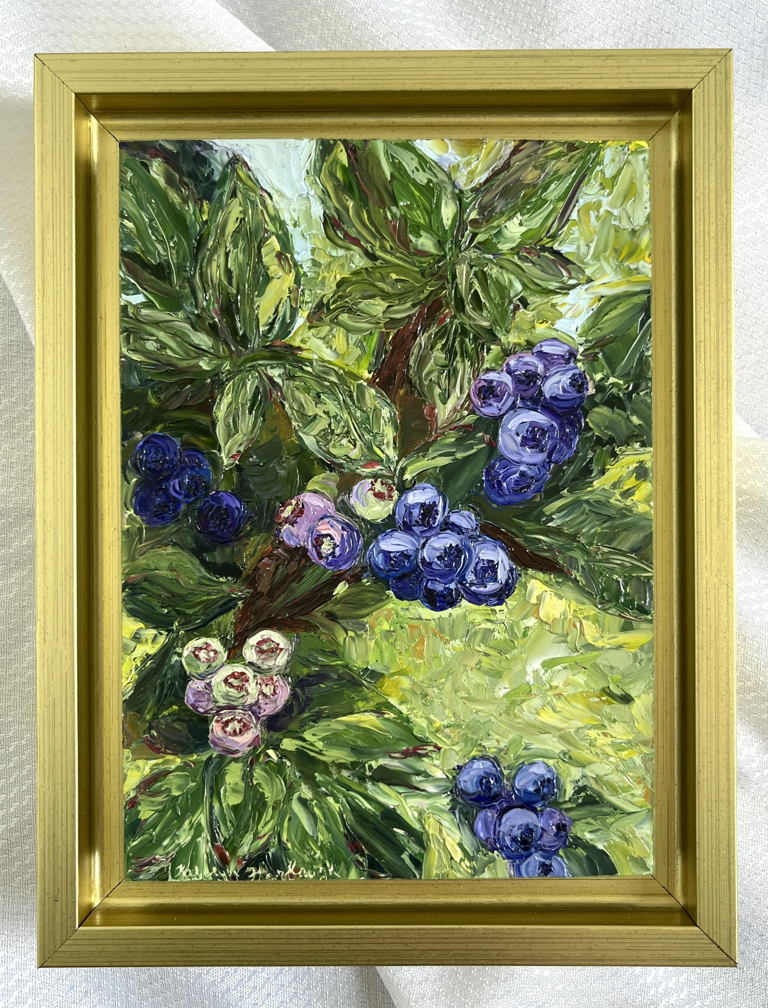 Blueberry Patch.jpg