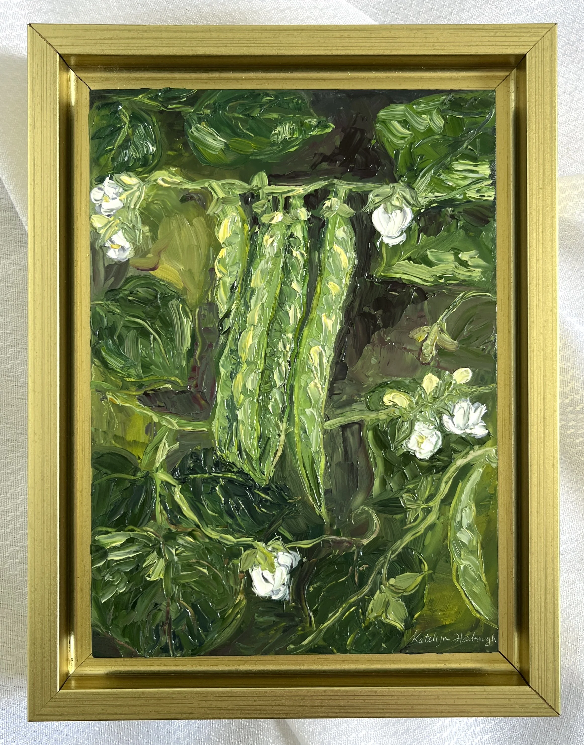 Green Bean Blossoms.JPG
