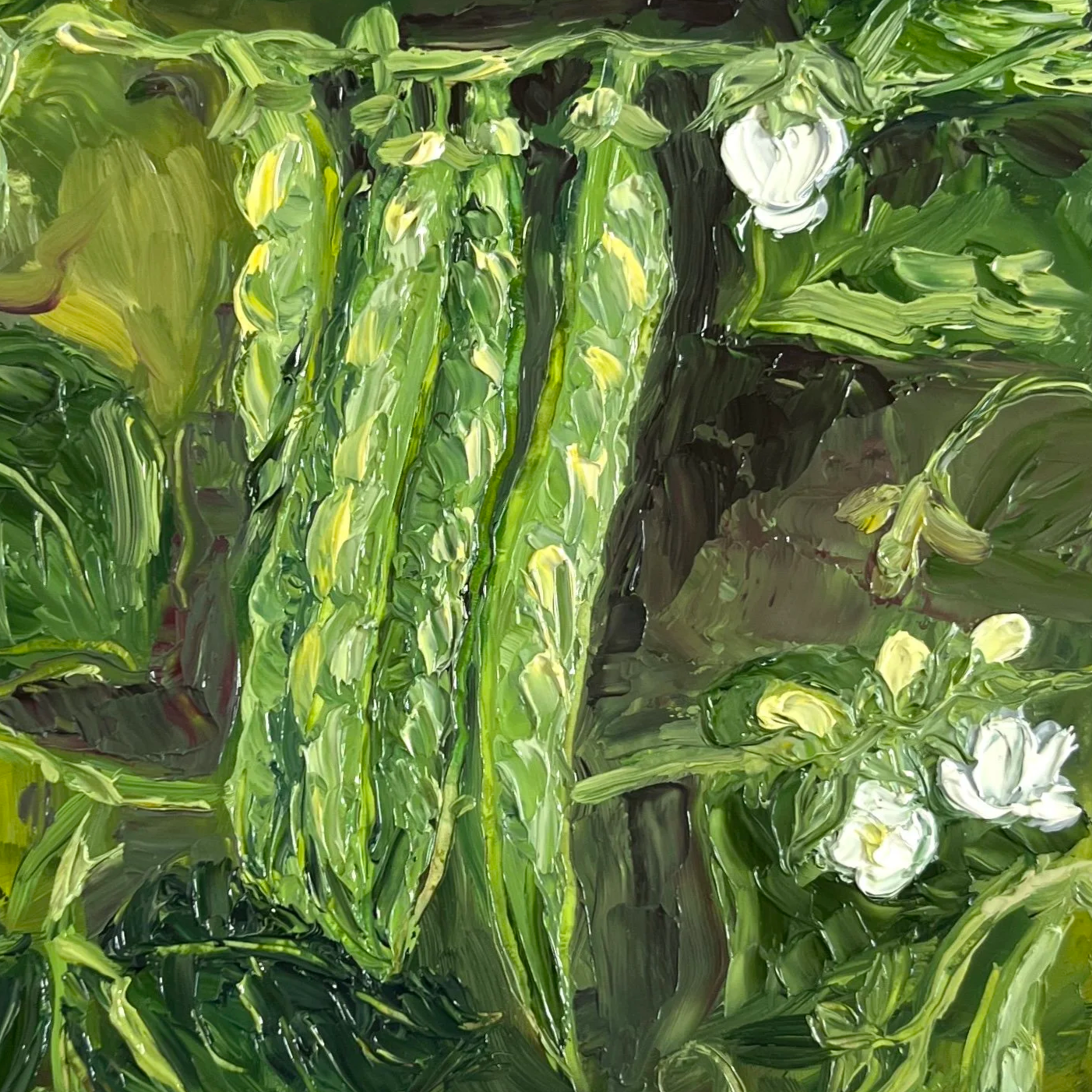 Green+Bean+Blossoms.png