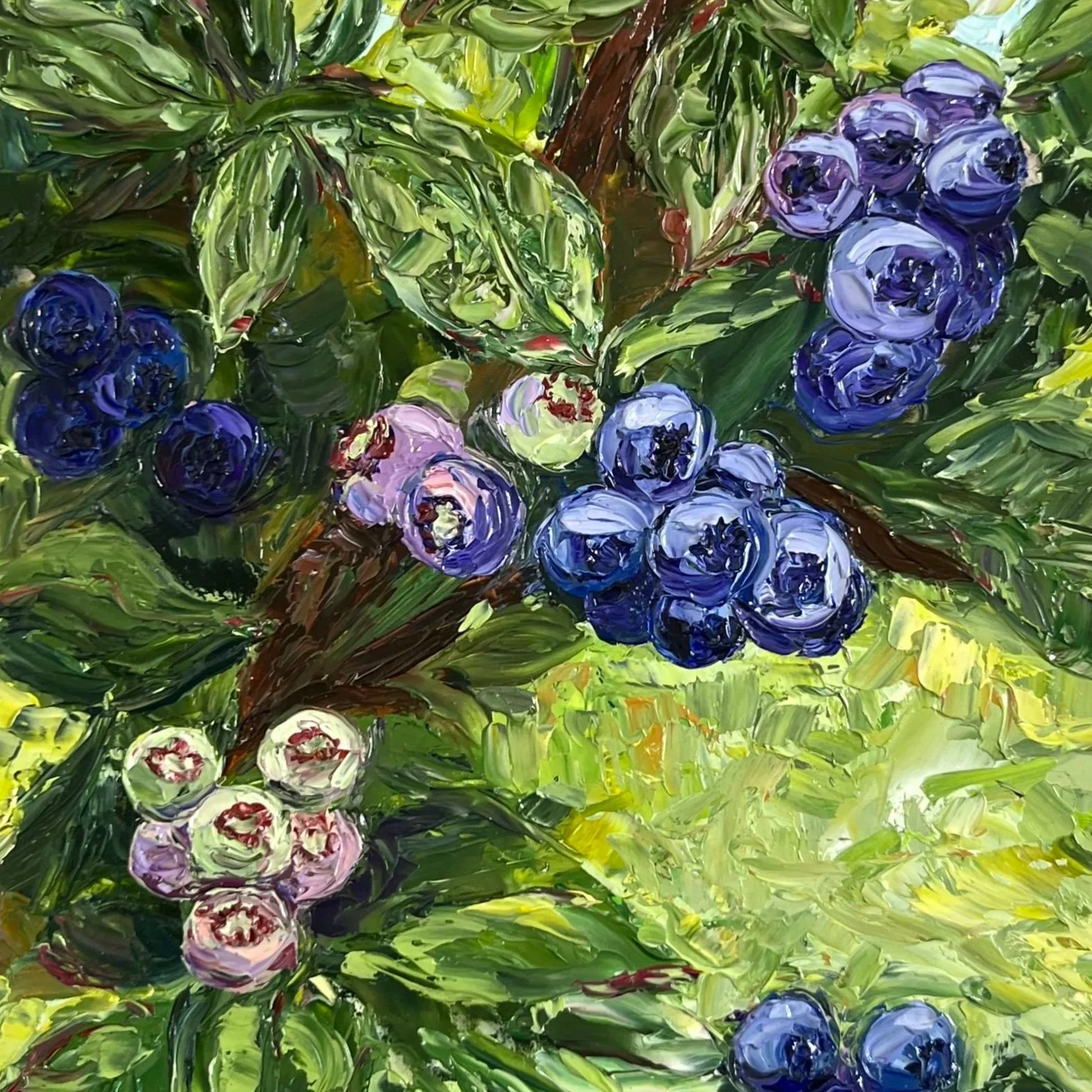 Blueberry+Patch.jpg
