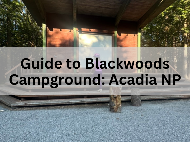 Guide to Blackwoods Campground in Acadia NP: Our favorite place to camp