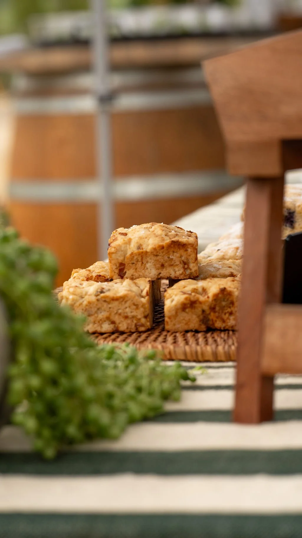 Plantmania 2024 | Photo by Joseph Chun