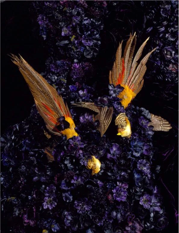 無題 #1180（碧兒翠絲）｜Untitled #1180 (Beatrice)，(2003-08)