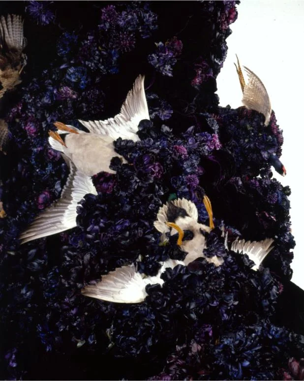 無題 #1180（碧兒翠絲）｜Untitled #1180 ( Beatrice )，(2003-08)