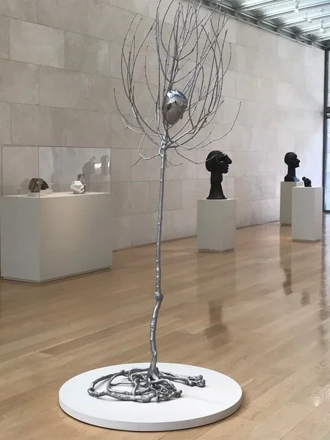 樹中頭顱|Head in Tree , (2006-08)