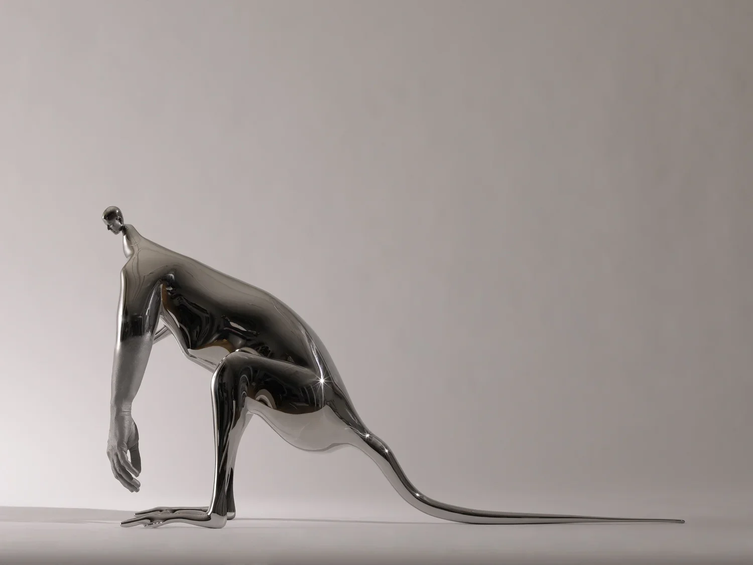 小袋鼠|Wallaby, (2007-12)