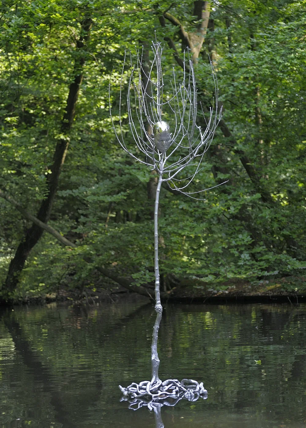 樹中頭顱|Head in Tree , (2006-08)