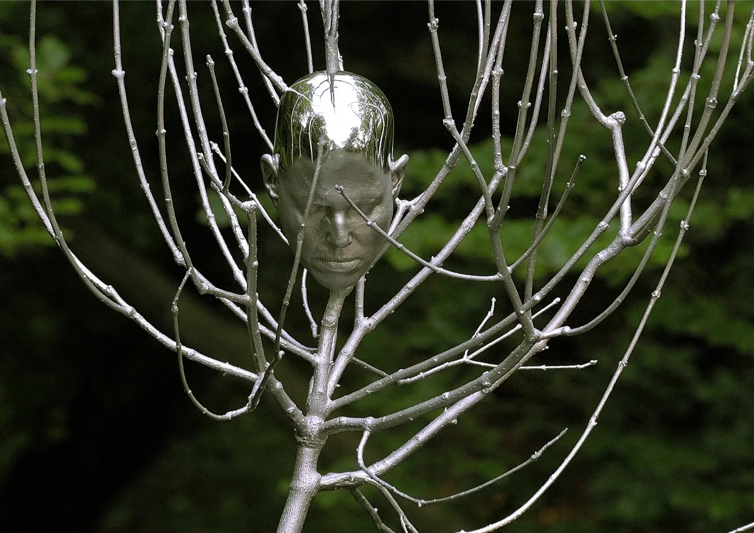 樹中頭顱|Head in Tree , (2006-08)