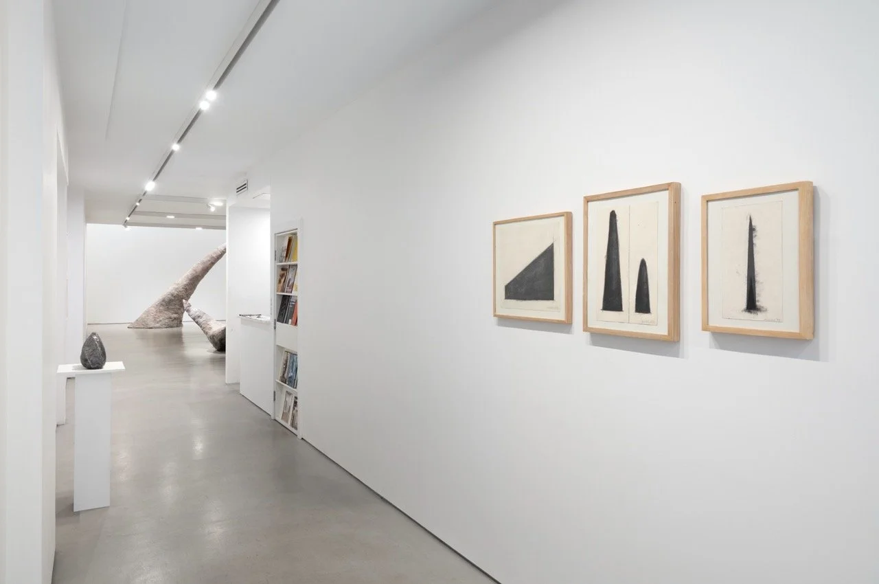  展覽實景由Martin Seck拍攝 