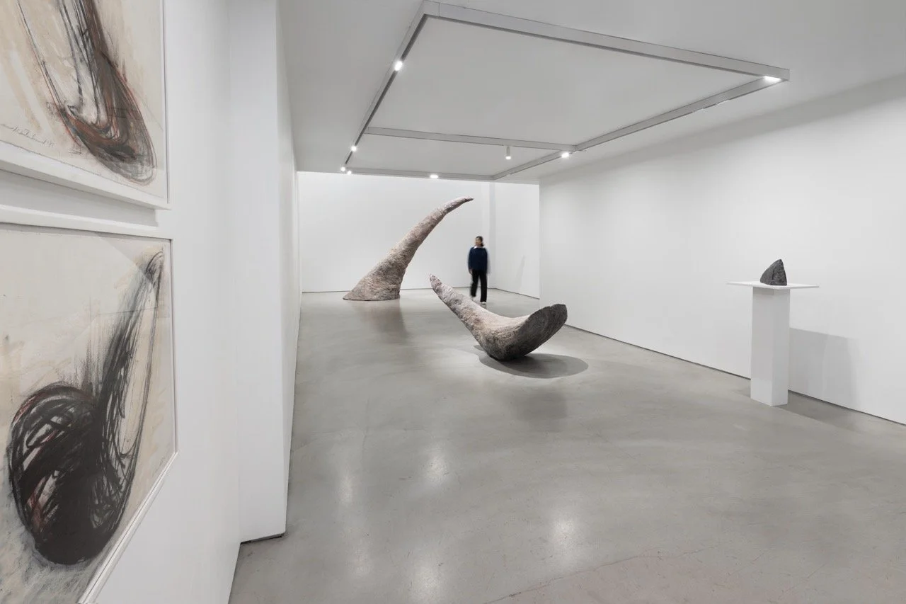  展覽實景由Martin Seck拍攝 