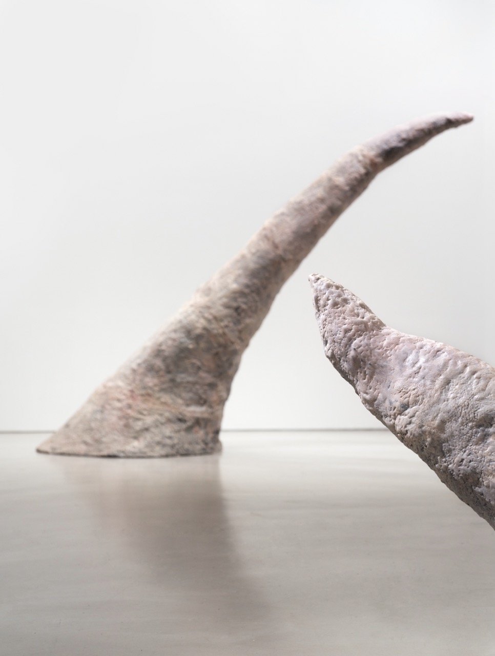 米亞．維斯特倫德．羅森：「過去與現在​」