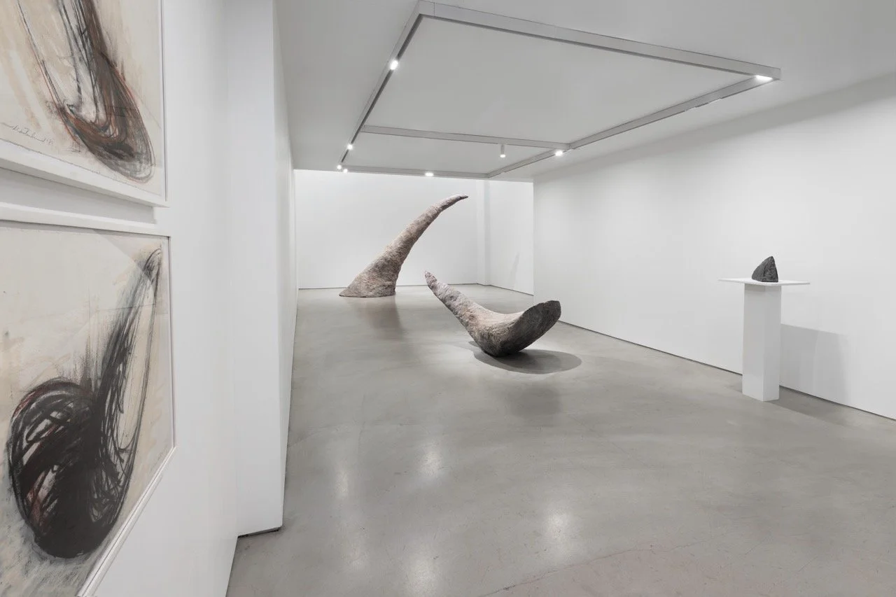  展覽實景由Martin Seck拍攝 