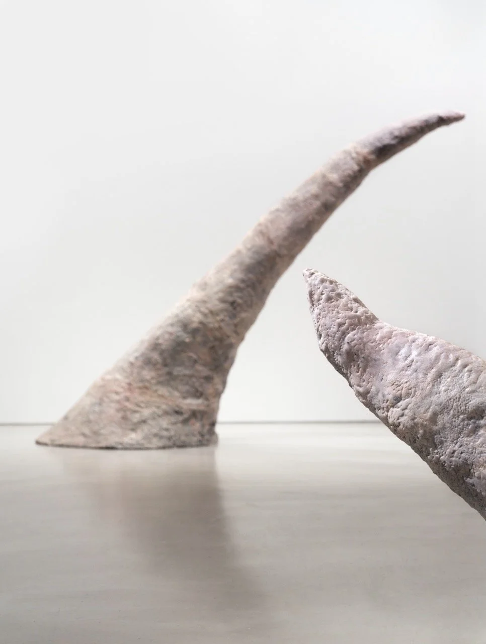  展覽實景由Martin Seck拍攝 