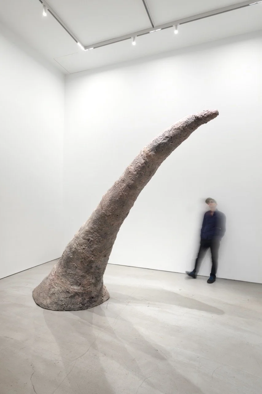 〈熱〉（Heat），1981