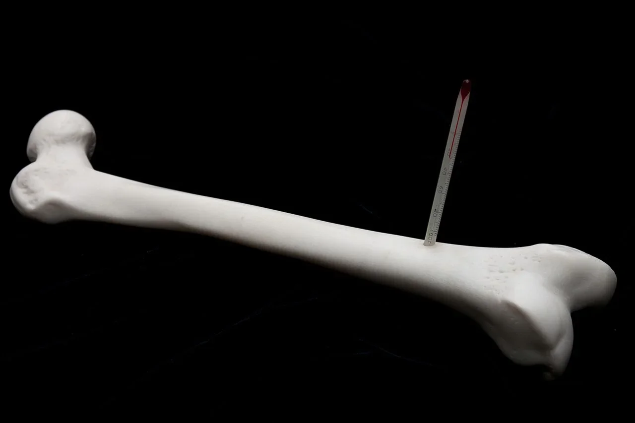 溫度計Thermometer (2017)