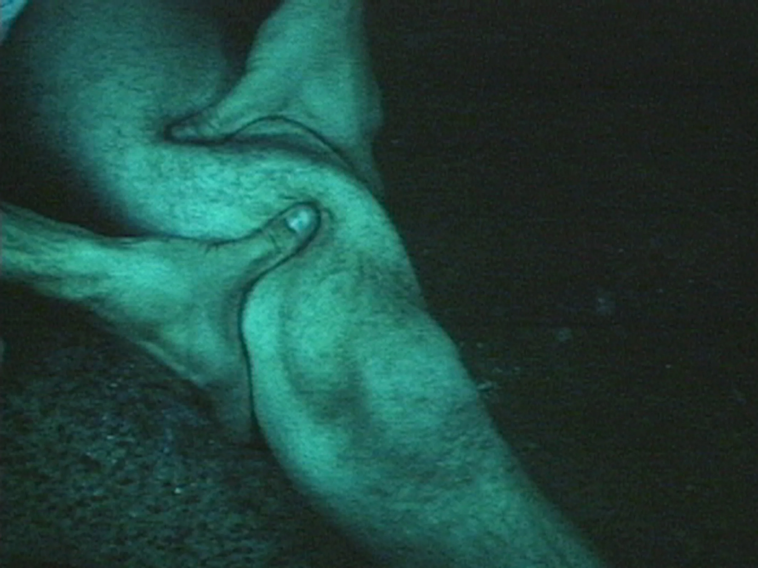 布魯斯．諾曼，〈大腿（藍）〉，1967