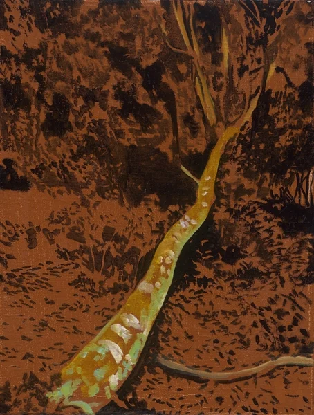 〈樹〉，2019