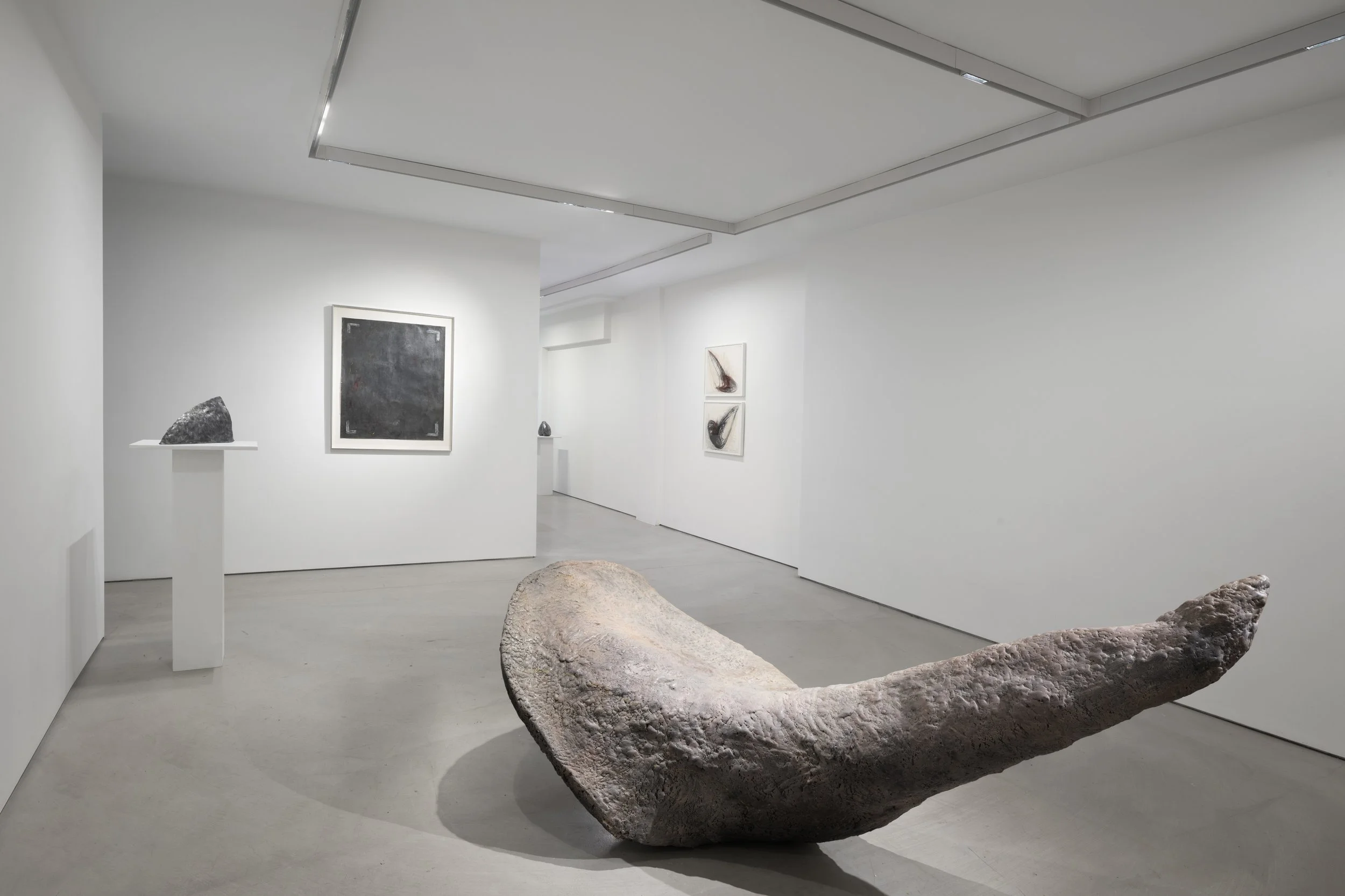  展覽實景由Martin Seck拍攝 