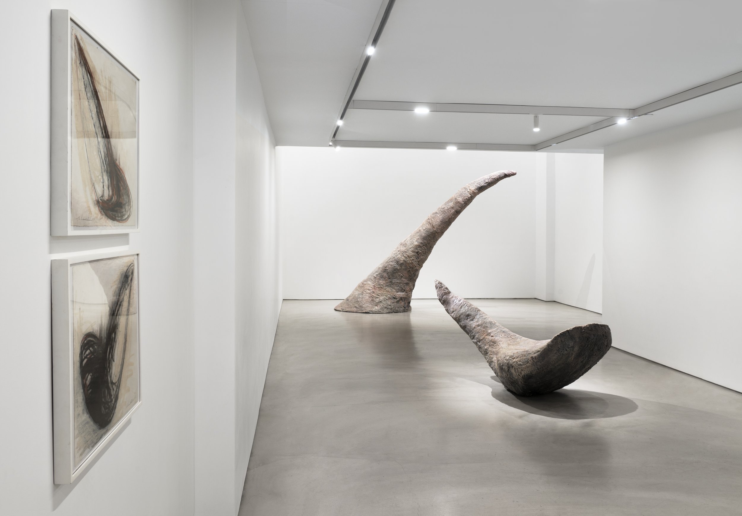  展覽實景由Martin Seck拍攝 