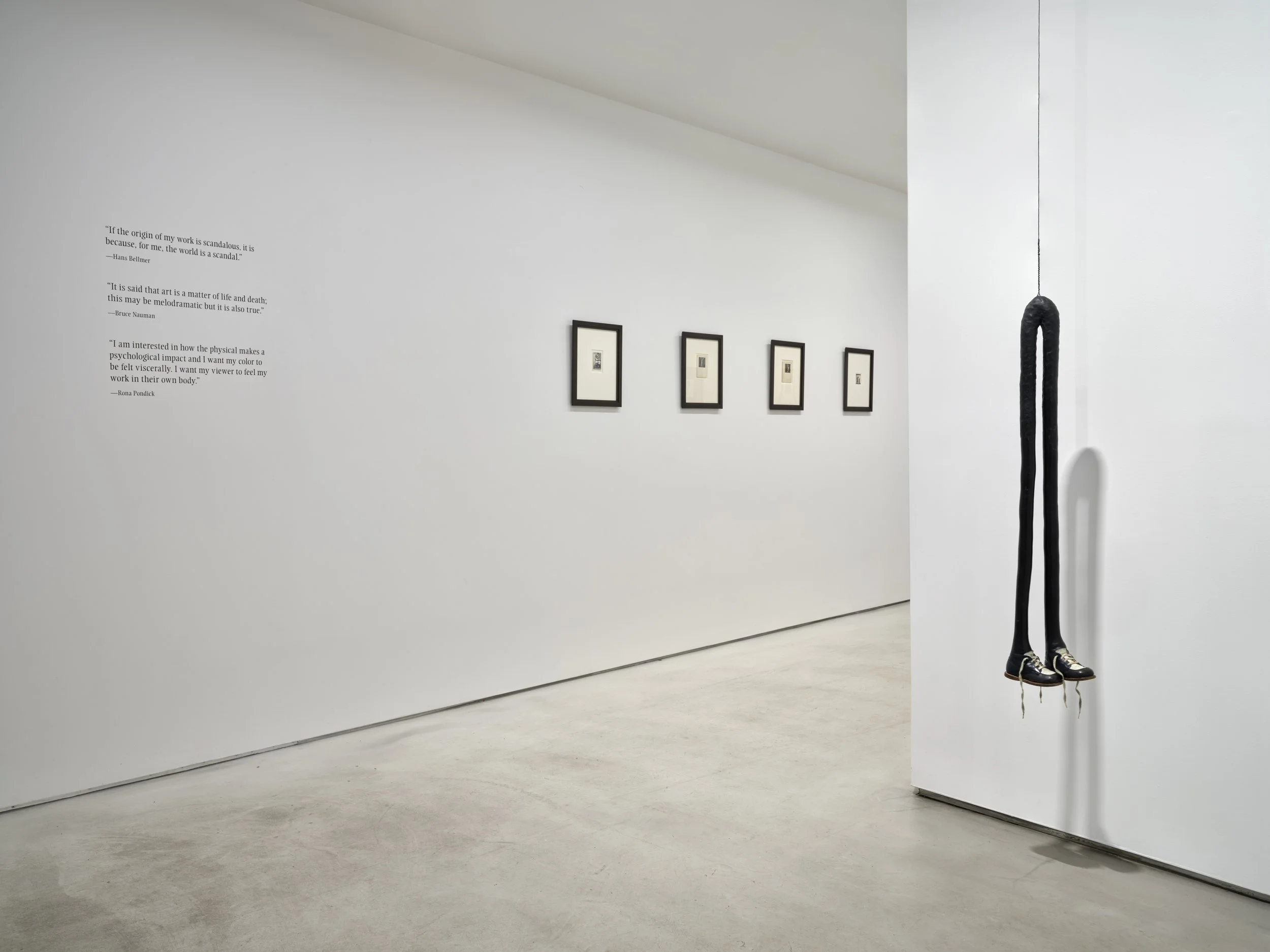  展覽實景由Martin Seck拍攝 