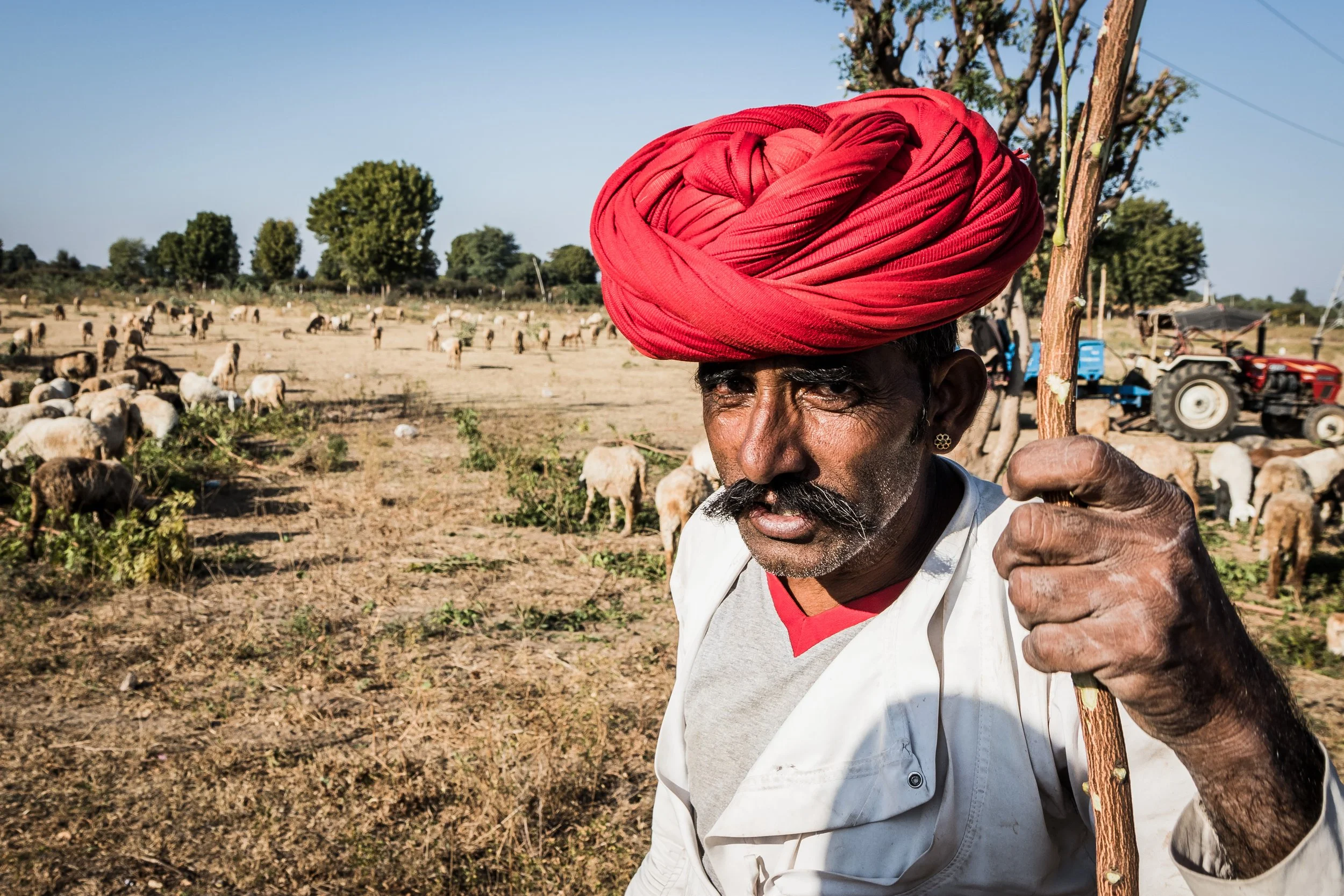 Portraits of India (25 of 42).jpg