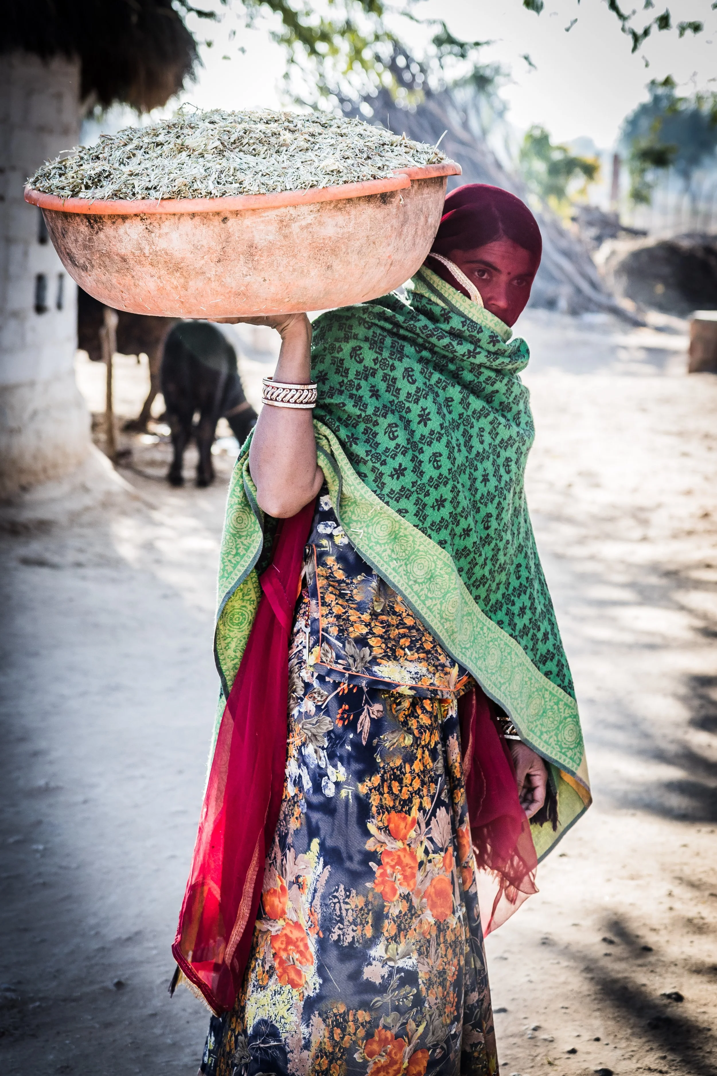 Portraits of India (34 of 42).jpg