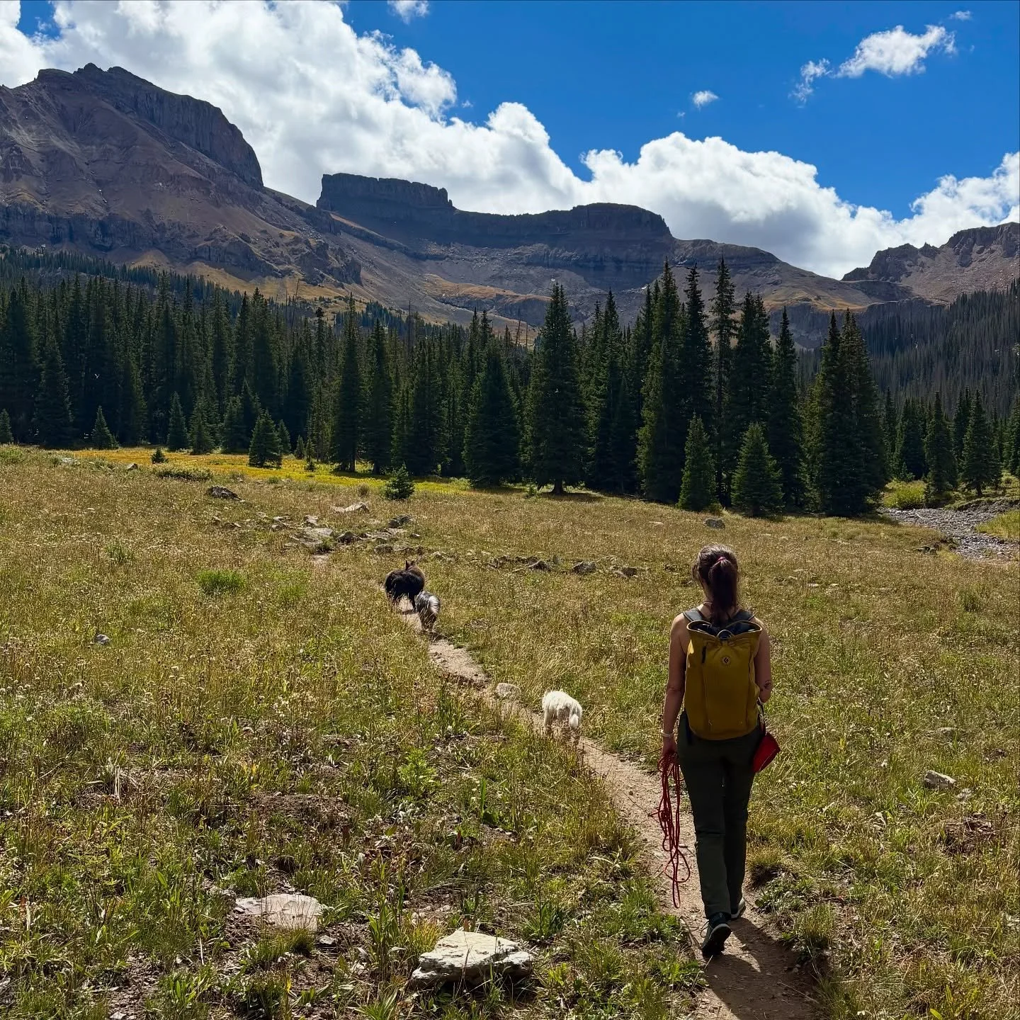 End of summer delights 💞

(A West Fork hike, electric fired ash glazed bowl, Shino being a nutter, my three pups at the reservoir, our Music &amp; Makers Festival event!)