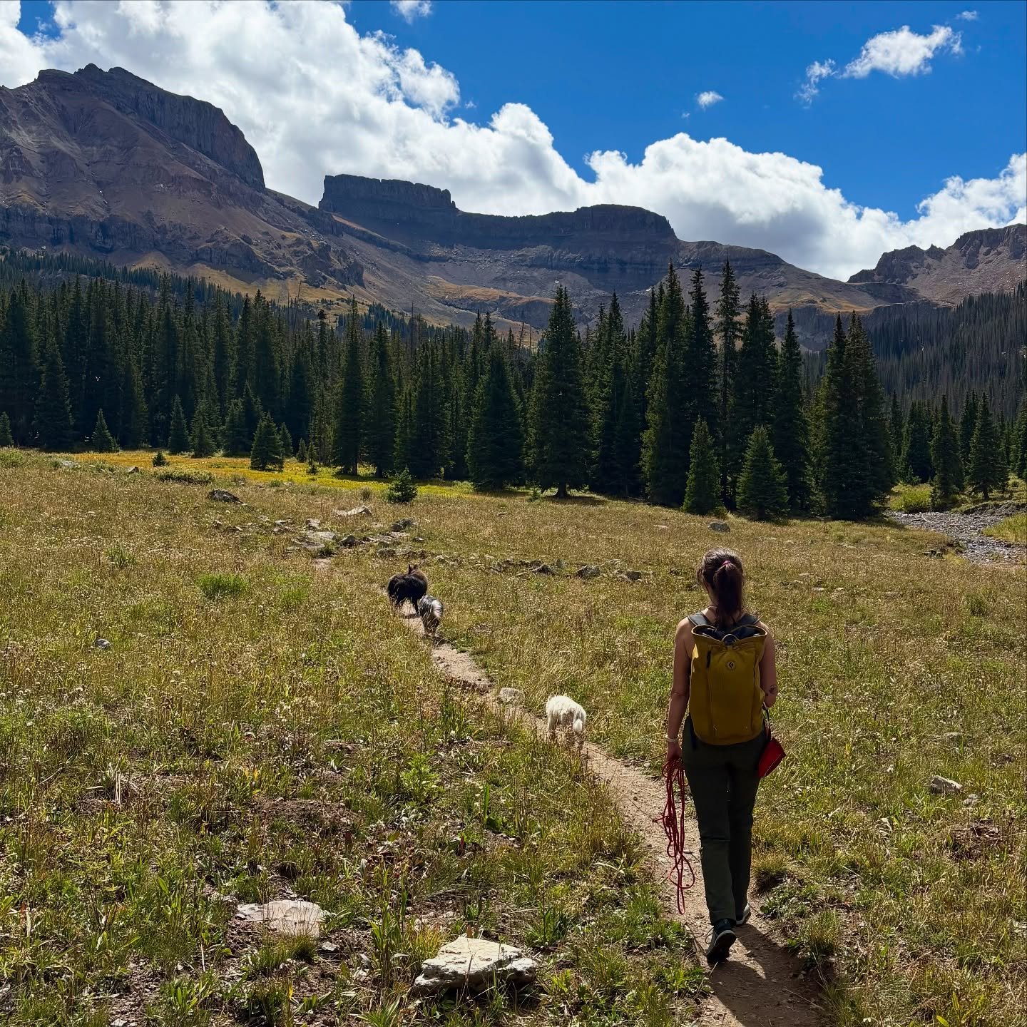 End of summer delights 💞

(A West Fork hike, electric fired ash glazed bowl, Shino being a nutter, my three pups at the reservoir, our Music &amp; Makers Festival event!)