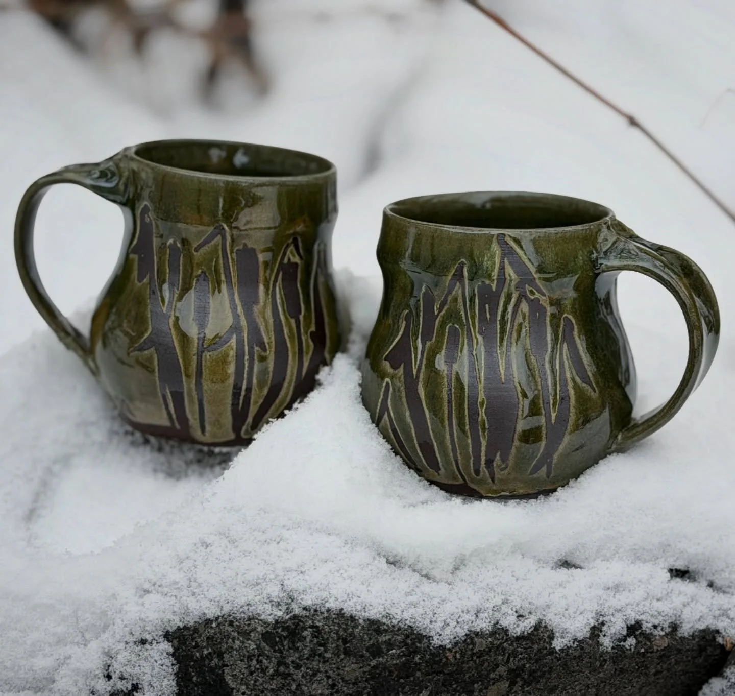 I&rsquo;ll see your Hot Girl Summer and raise you a Riparian Hermit Winter 🪾🌾

#handmade #ceramics #handmademug #cattails #coloradopotter