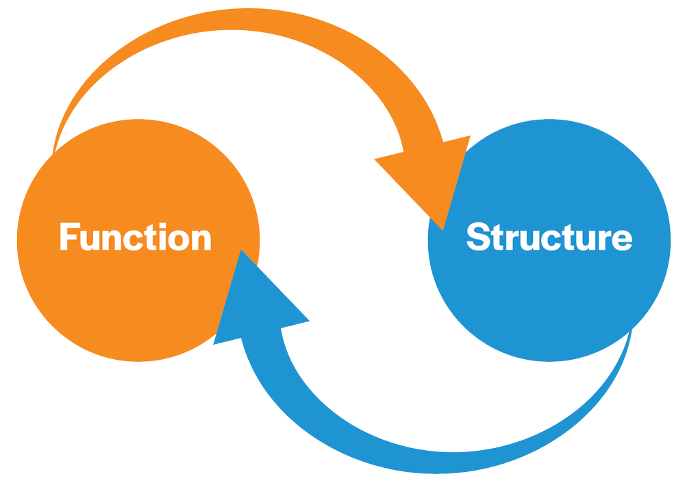 Why Color Vision — Innova Systems