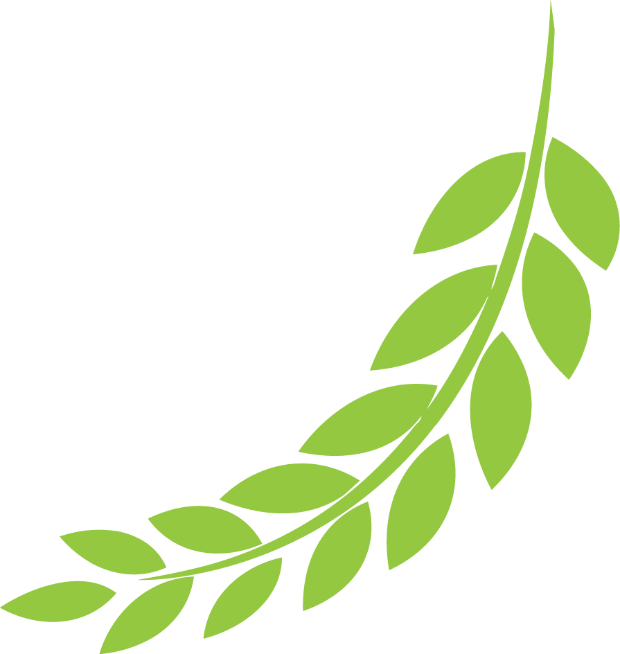 itype4school Touch Typing for Australian Schools