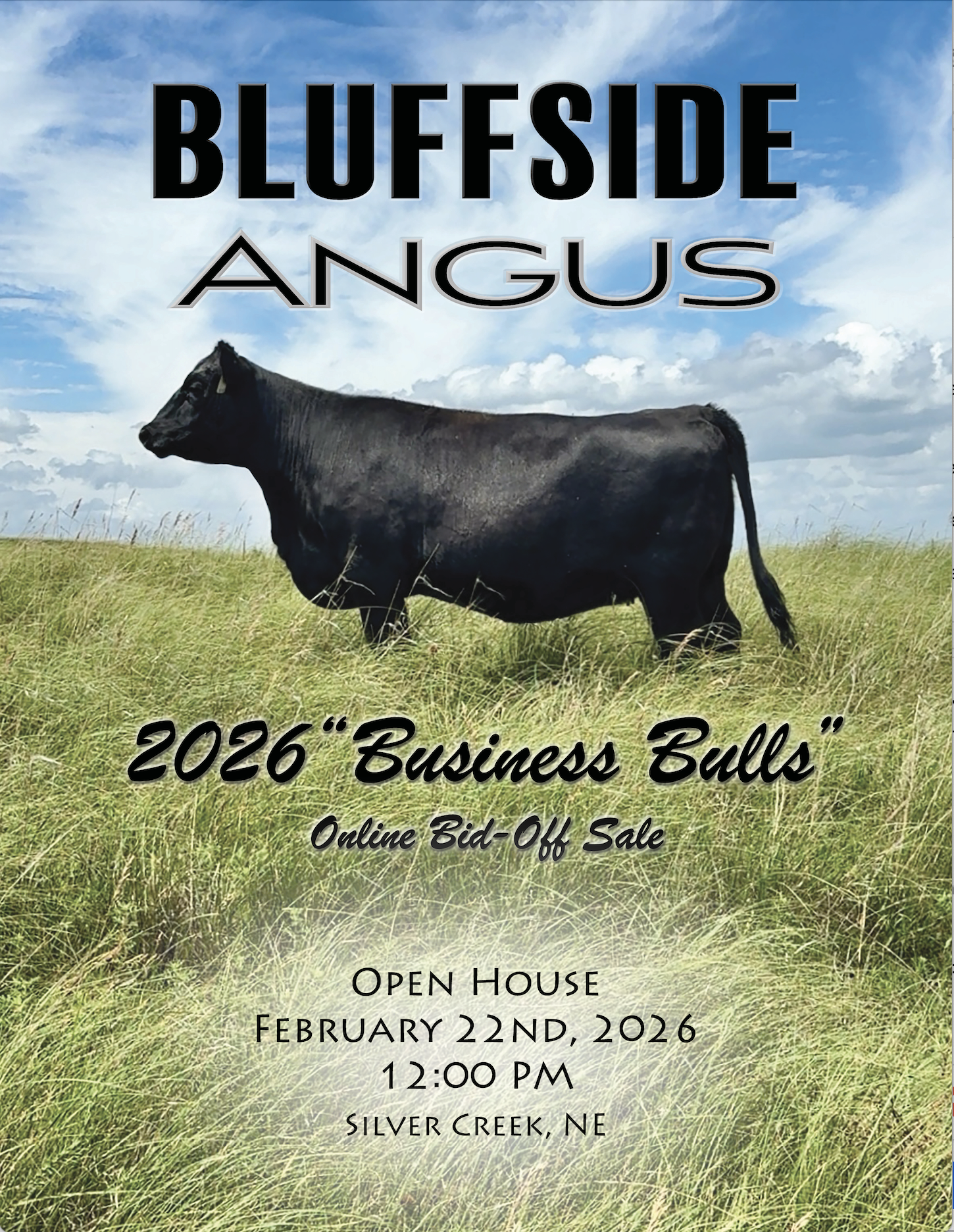 A black Angus cow sired by the Bluffside Angus herd sire, Koupal's B&B Real McCoy standing in a grassy field under a partly cloudy sky, with large text announcing a 2026 Business Bulls online bid-off sale.