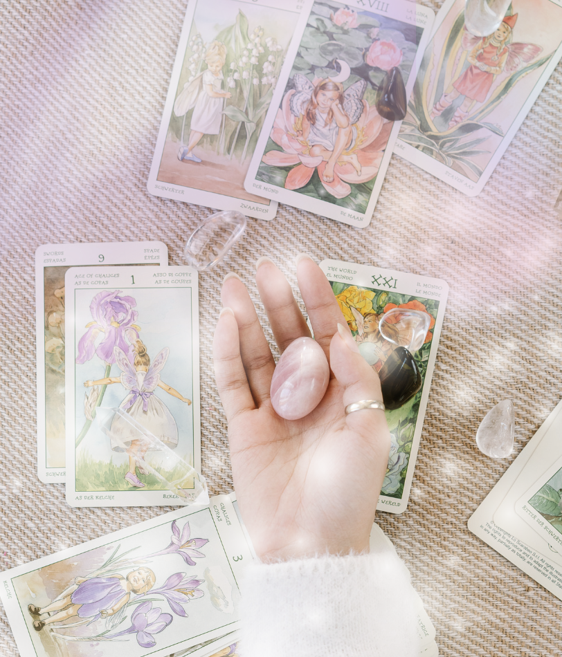 Screenshot 2026-02-13 at 3.54.33 PM.png (Copy)