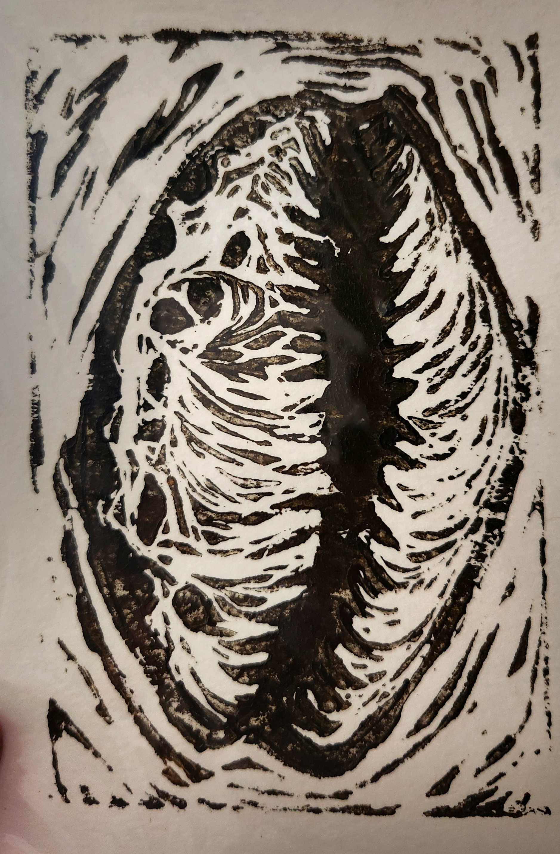 20250712_115028.jpg