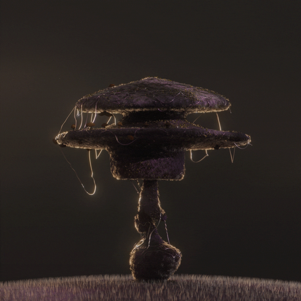 Magic Mushrooms