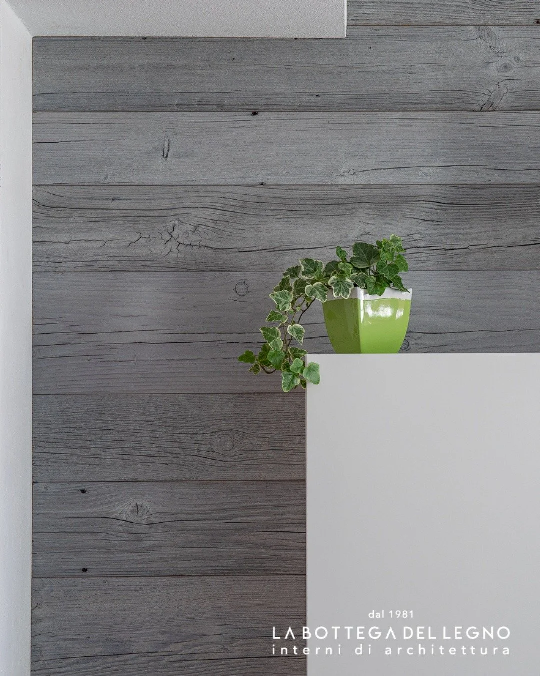 .
𝑪𝒐𝒆𝒓𝒆𝒏𝒛𝒂 𝒕𝒓𝒂 𝒗𝒐𝒍𝒖𝒎𝒊 𝒆 𝒄𝒐𝒍𝒐𝒓𝒊

Rivestimento in legno vecchio per la parete principale, dove il mobile TV, con moduli laccati bianchi e grigi, crea un piacevole gioco di volumi e movimento.

Progetto: @bearprogetti_ 

#labotte