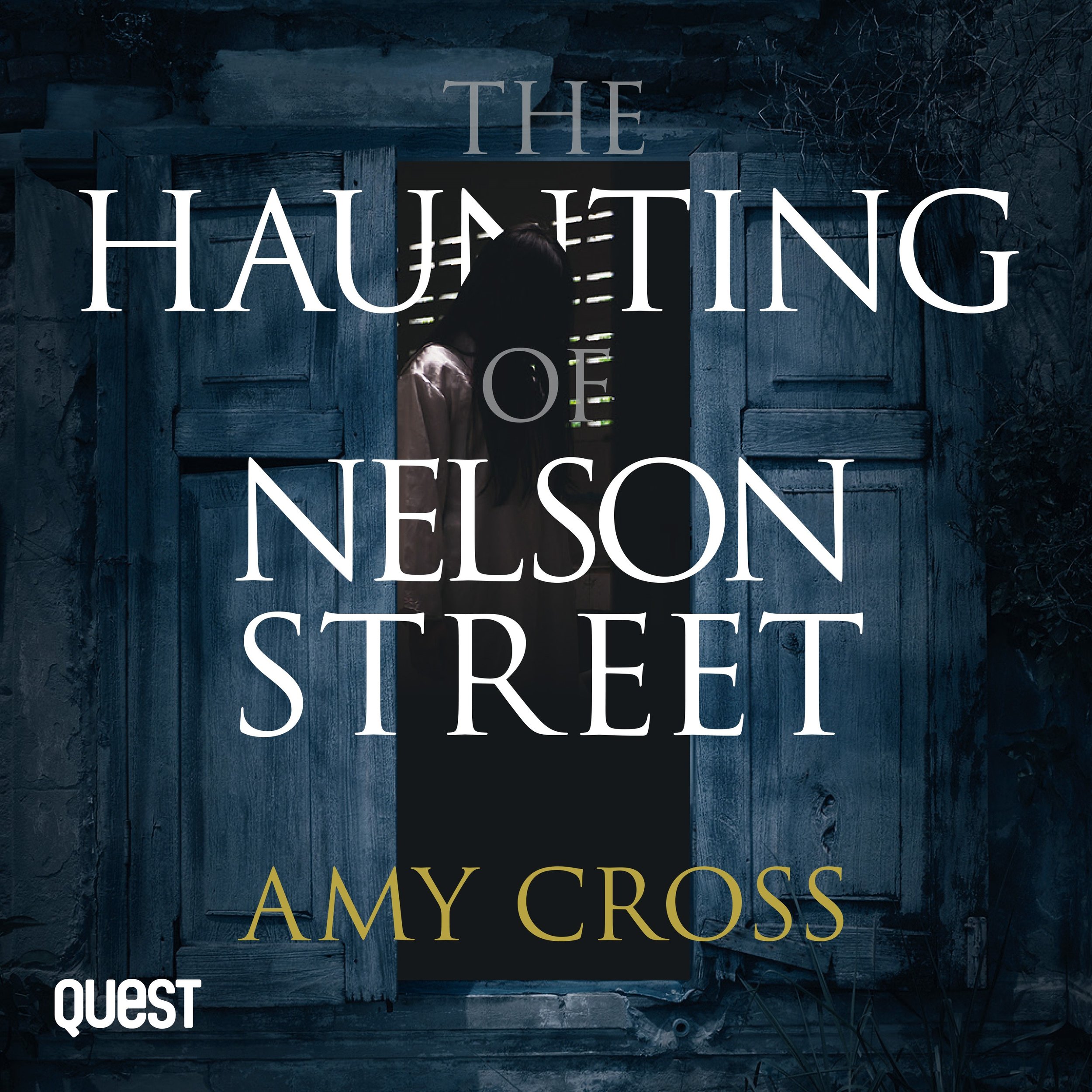 Amy Cross Haunting of Nelson Street audiobook