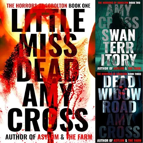 The Horrors of Sobolton series by Amy Cross