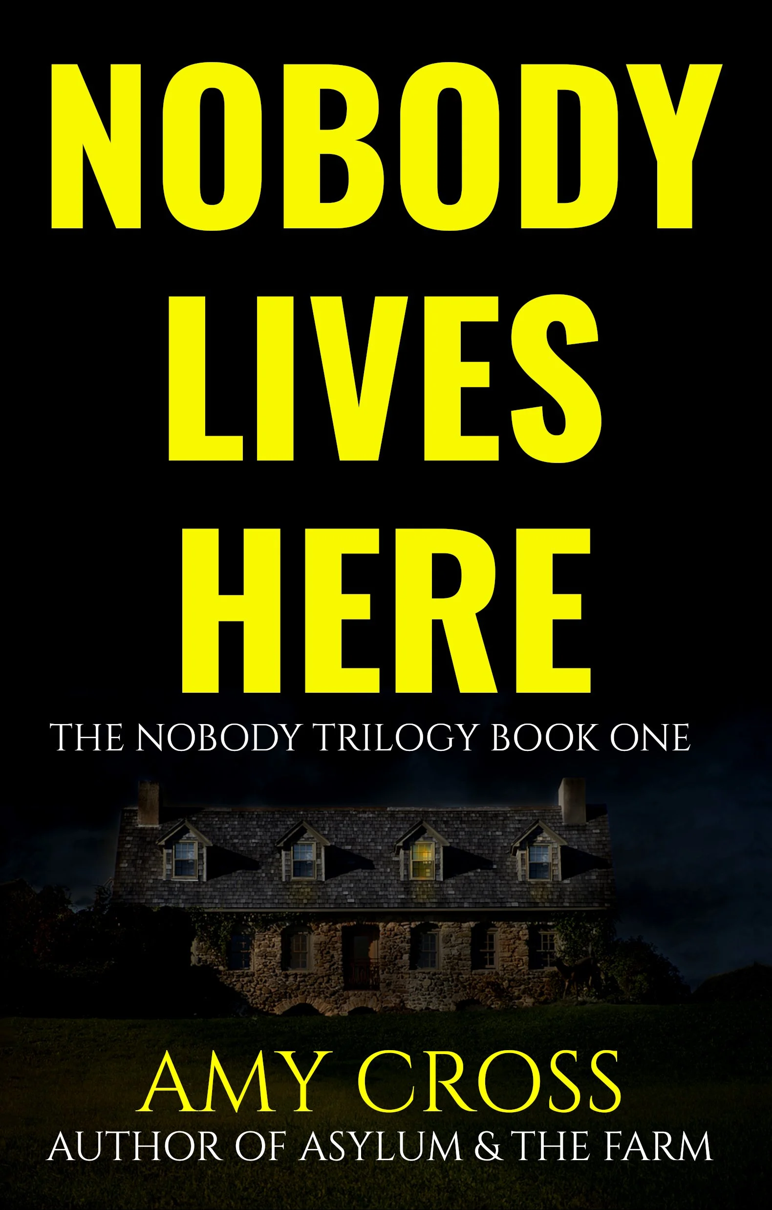 Amy Cross Nobody Lives Here