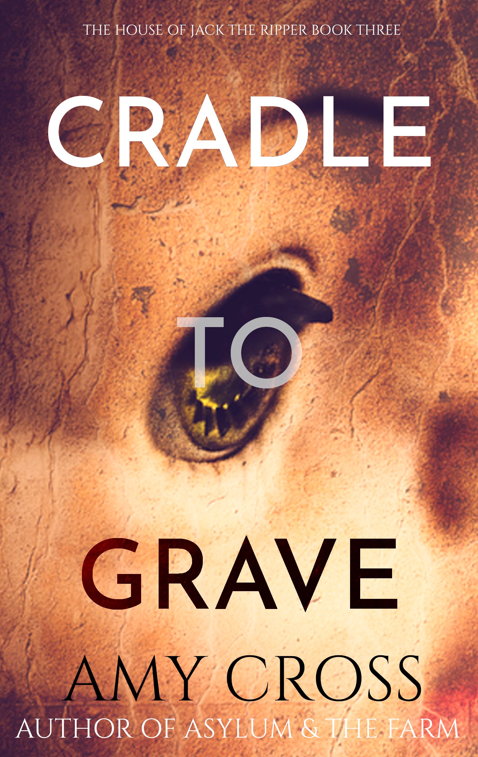 Cradle to Grave — Amy Cross Horror Author