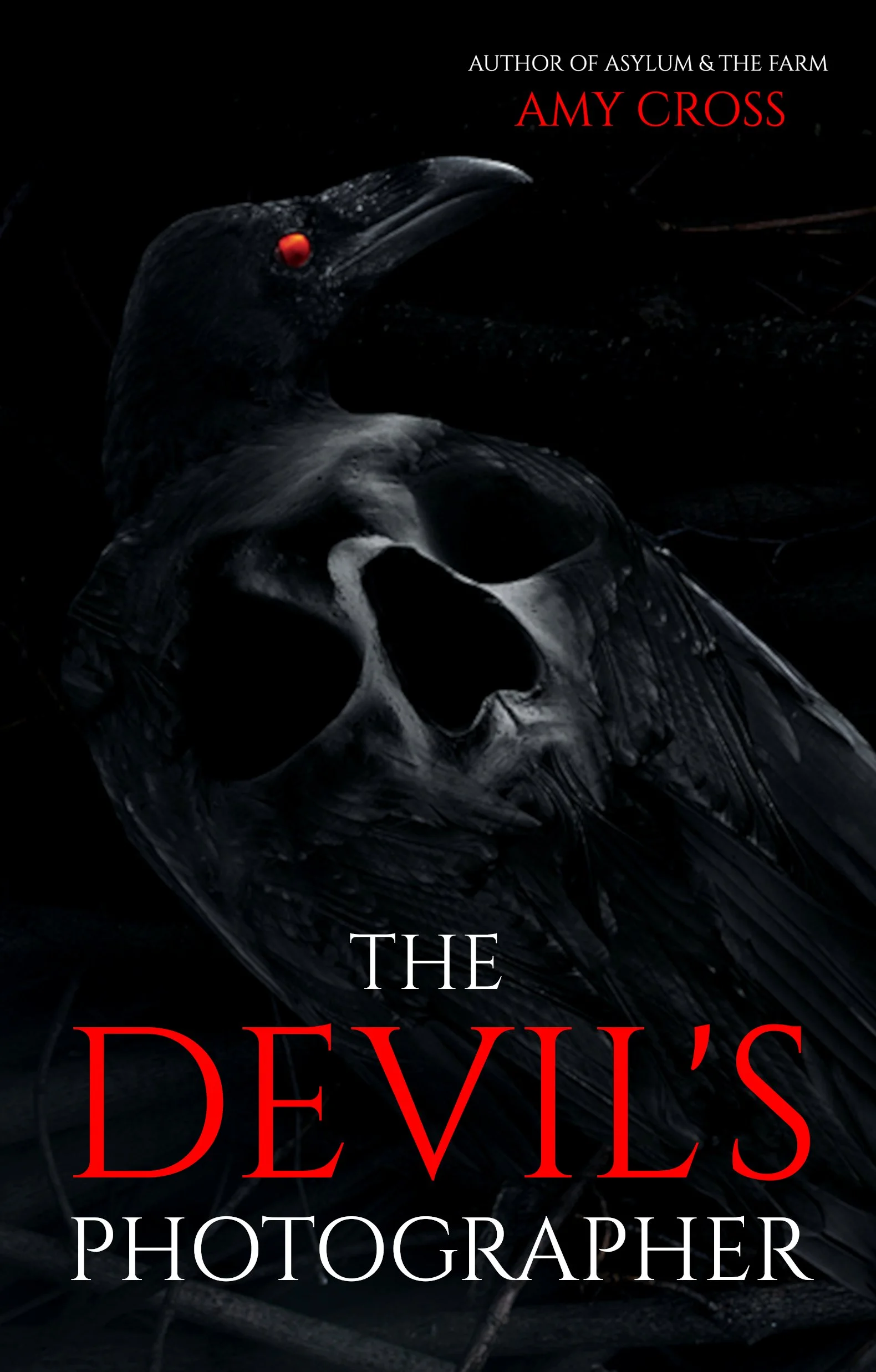 The Devil's Photographer Amy Cross