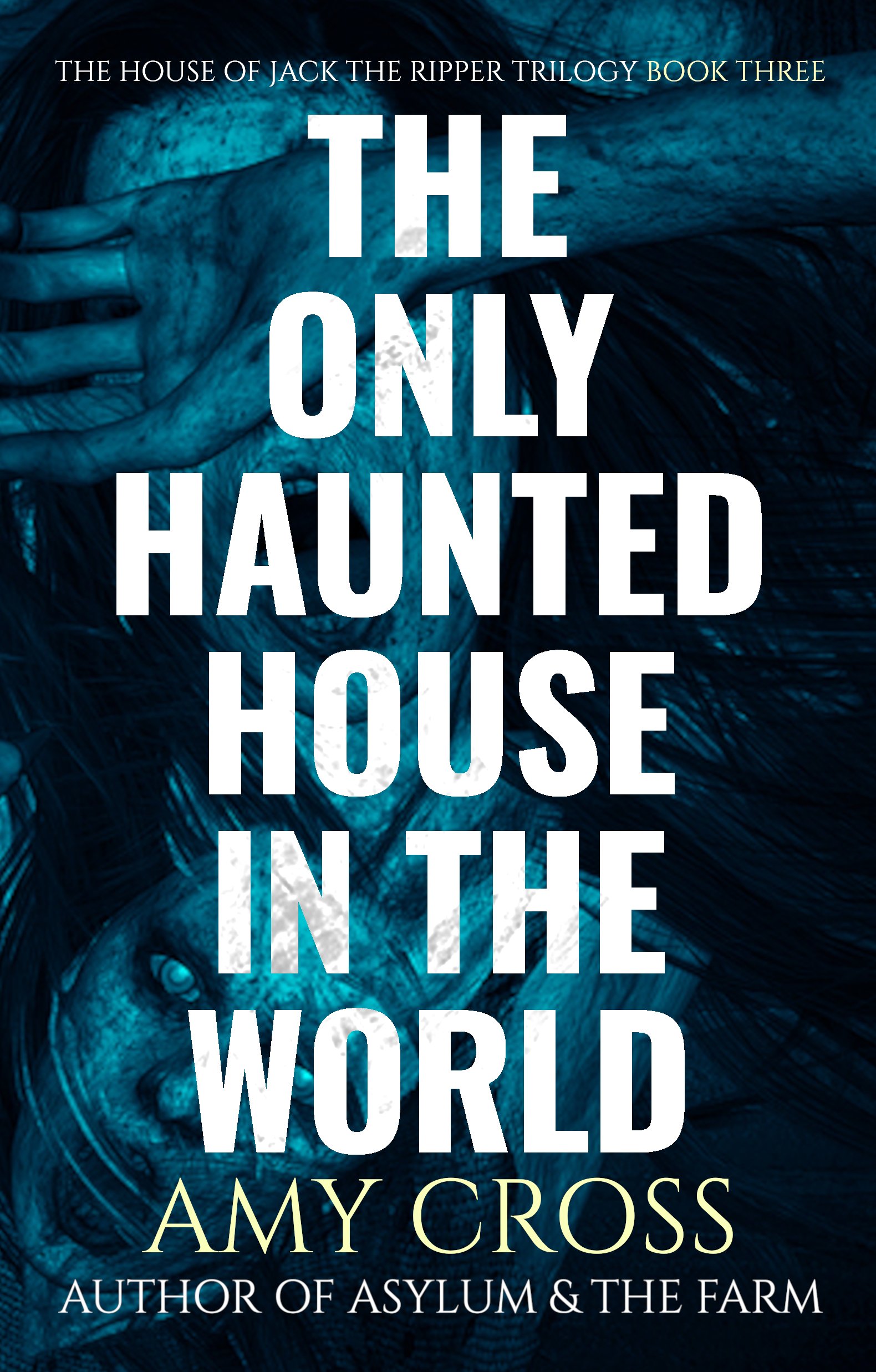 Amy Cross The Only Haunted House in the World