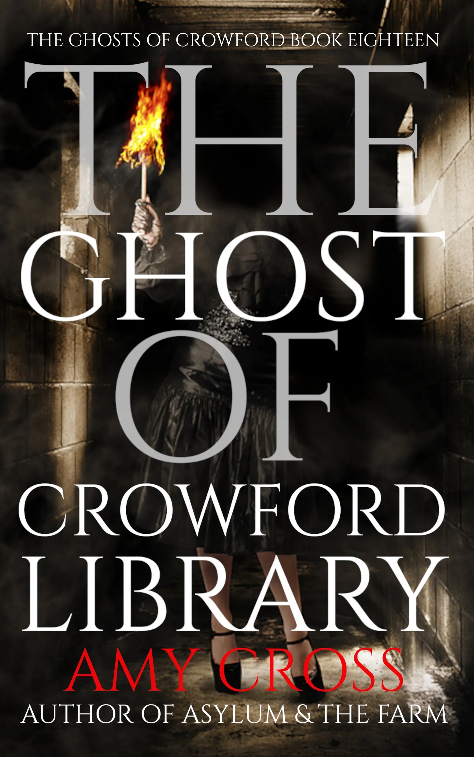 Amy Cross Ghost of Crowford Library
