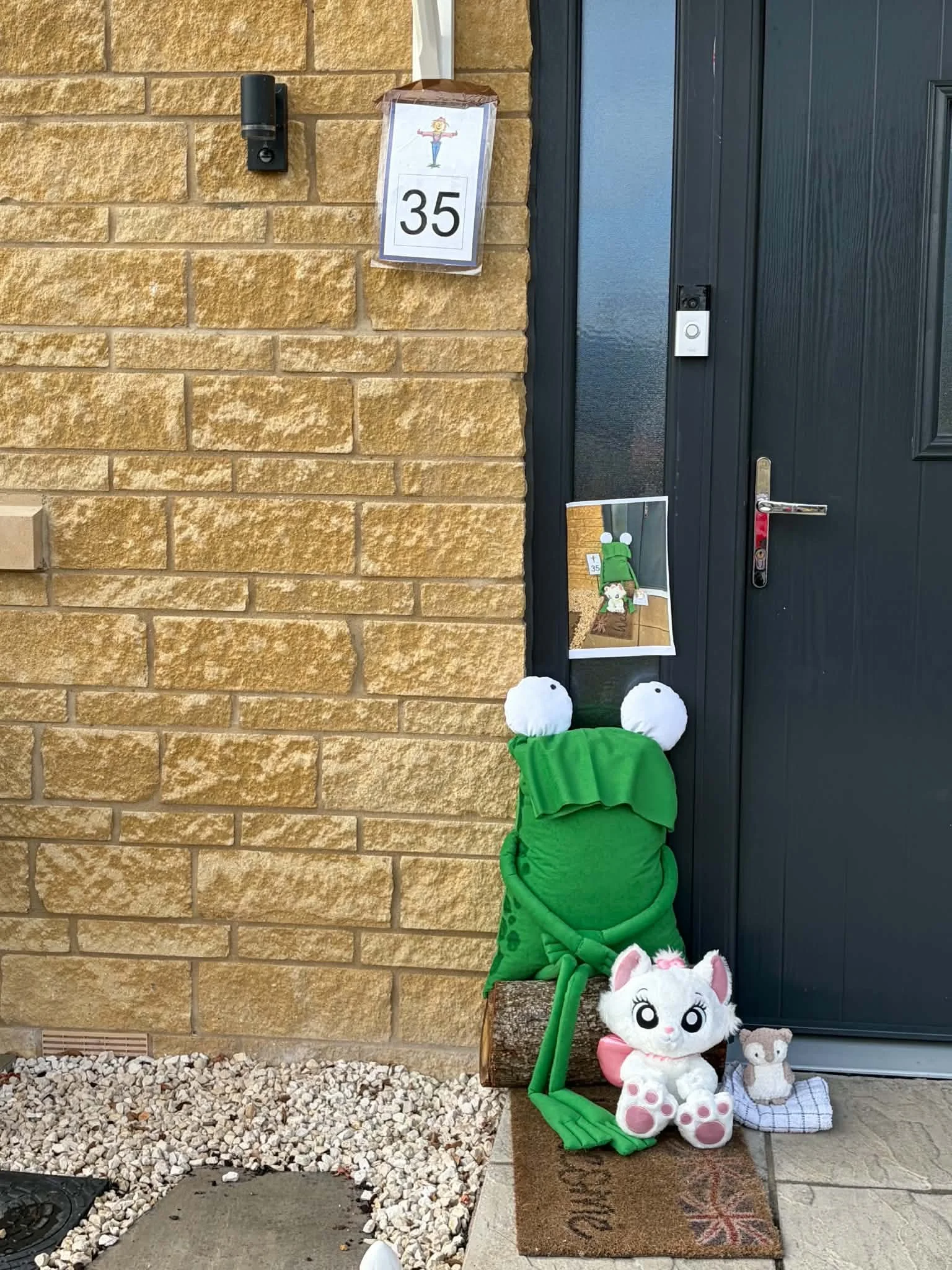35.jpg