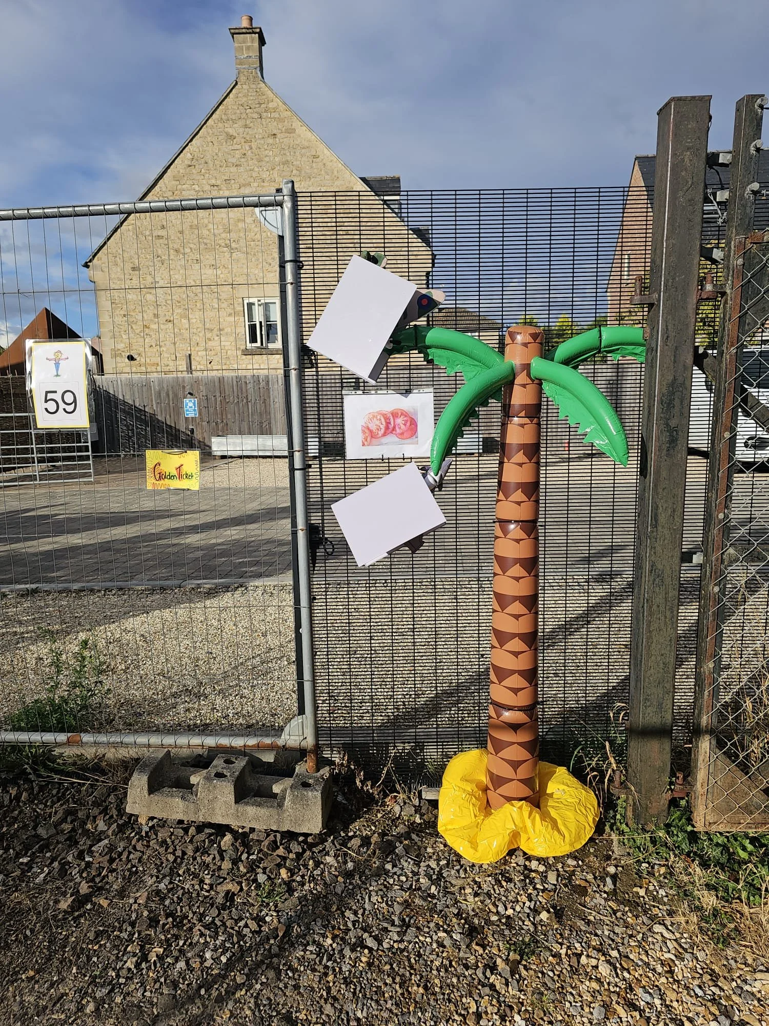 59.jpg