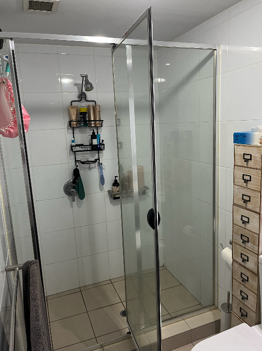 Bathroom before renovation at Ann Street, Foritude Valley